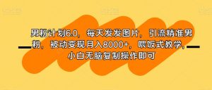 男粉计划6.0,每天发发图片,引流精准男粉,被动变现月入8000+,喂饭式教学,小白无脑复制操作即可-私藏资源社