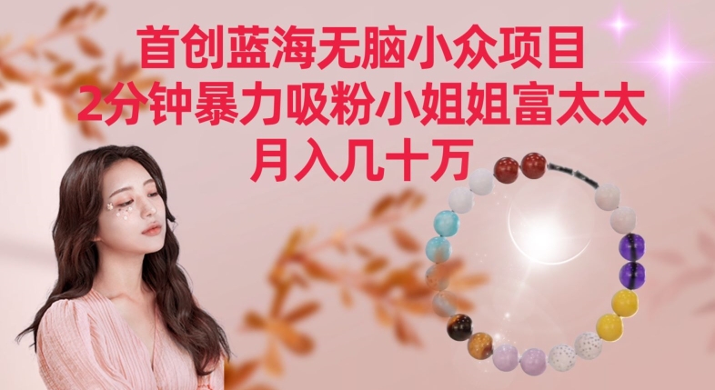 首创蓝海无脑小众项目，2分钟暴力吸粉小姐姐富太太，月入几十万【揭秘】-私藏资源社