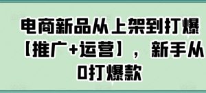 电商新品从上架到打爆【推广+运营】，新手从0打爆款-私藏资源社