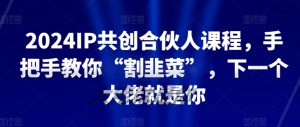 2024IP共创合伙人课程,手把手教你“割韭菜”,下一个大佬就是你-私藏资源社