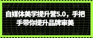 自媒体美学提升营5.0,手把手带你提升品牌审美-私藏资源社