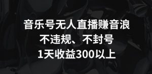 音乐号无人直播赚音浪,不违规、不封号,1天收益300+【揭秘】-私藏资源社