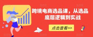 跨境电商选品课,从选品到底层逻辑到实战-私藏资源社
