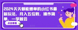 2024天天都能爆单的小红书最新玩法,月入五位数,操作简单,一学就会【揭秘】-私藏资源社
