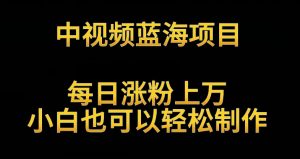 2024最新AI生成爆款视频,日入500+,操作简单易上手【揭秘】-私藏资源社