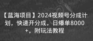 【蓝海项目】2024视频号分成计划,快速开分成,日爆单8000+,附玩法教程-私藏资源社