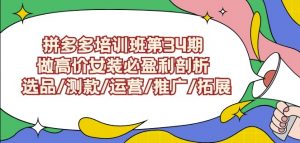 拼多多培训班第34期:做高价女装必盈利剖析选品/测款/运营/推广/拓展-私藏资源社