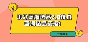 拼多多培训第33期:小众蓝海选品2.0技术-蓝海选品实操!-私藏资源社