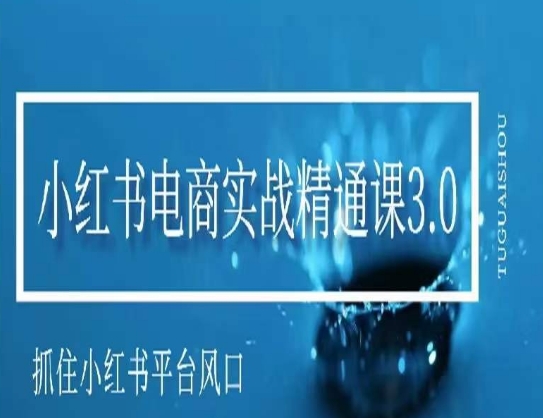 小红书电商实战精通课3.0，抓住小红书平台的风口，不错过有一个赚钱的机会-私藏资源社