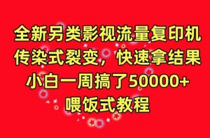 全新另类影视流量复印机,传染式裂变,快速拿结果,小白一周搞了50000+,喂饭式教程【揭秘】-私藏资源社