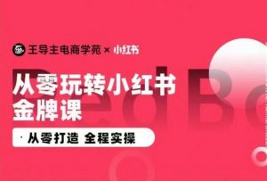 王导主·小红书电商运营实操课,从零打造  全程实操-私藏资源社