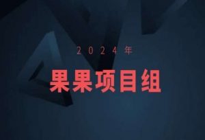 2024年果果项目组项目合集-果果最新项目-私藏资源社