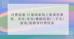 付费流量·巨量线索线上集训营课程,美发/美容/舞蹈培训/二手车/游戏/装修等付费投流-私藏资源社