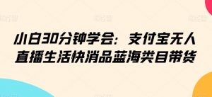小白30分钟学会:支付宝无人直播生活快消品蓝海类目带货【揭秘】-私藏资源社