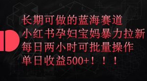 长期可做的蓝海赛道,小红书孕妇宝妈暴力拉新玩法,每日两小时可批量操作,单日收益500+【揭秘】-私藏资源社