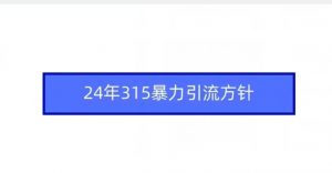 24年315暴力引流方针-私藏资源社
