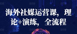 海外社媒运营课,理论+演练,全流程-私藏资源社