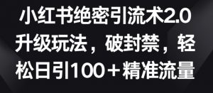 小红书绝密引流术2.0升级玩法,破封禁,轻松日引100+精准流量【揭秘】-私藏资源社