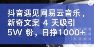 抖音遇见网易云音乐,新奇文案 4 天吸引 5W 粉,日挣1000+【揭秘】-私藏资源社
