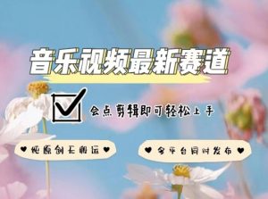 音乐视频赛道最新玩法,纯原创不违规,可所有平台同时发布,会点剪辑即可轻松拿捏【揭秘】-私藏资源社