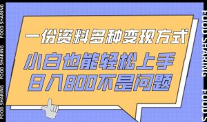 一份资料多种变现方式,小白也能轻松上手,日入800不是问题【揭秘】-私藏资源社