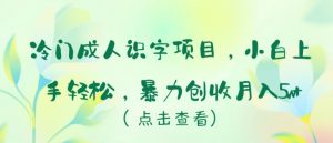 冷门成人识字项目,小白上手轻松,暴力创收月入5w+【揭秘】-私藏资源社
