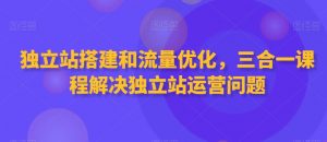 独立站搭建和流量优化,三合一课程解决独立站运营问题-私藏资源社