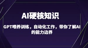 AI硬核知识-GPT喂养训练,自动化工作,带你了解AI的能力边界(10节课)-私藏资源社