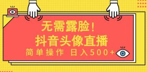 无需露脸,Ai头像直播项目,简单操作日入500+【揭秘】-私藏资源社