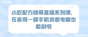 小吃配方绿幕直播系列课,在家用一部手机或者电脑也能创收-私藏资源社