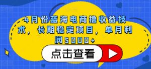 4月份蓝海电商撸收益技术,长期稳定项目,单月利润5000+【揭秘】-私藏资源社