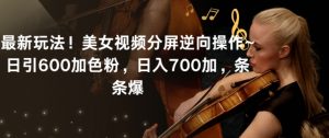 最新玩法!美女视频分屏逆向操作~日引600加色粉,日入700加,条条爆【揭秘】-私藏资源社