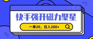 信息差赚钱项目,快手强开磁力聚星,一单20,日入200+【揭秘】-私藏资源社