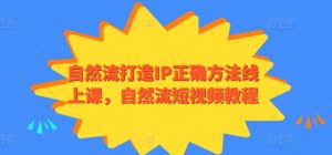 自然流打造IP正确方法线上课，自然流短视频教程-私藏资源社