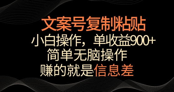 文案号掘金，简单复制粘贴，小白操作，单作品收益900+【揭秘】-私藏资源社