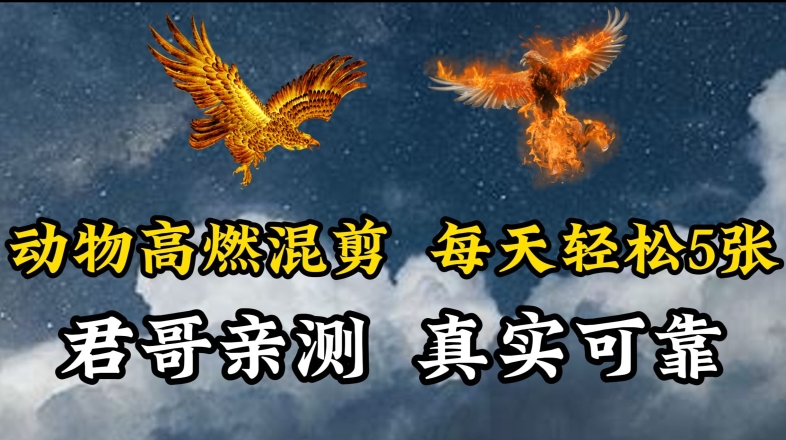动物超燃混剪，每天轻松5张，剪辑简单大家爱看【揭秘】-私藏资源社