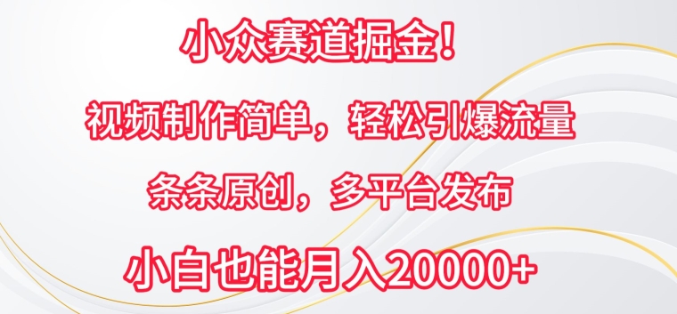 小众赛道掘金，视频制作简单，轻松引爆流量，条条原创，多平台发布【揭秘】-私藏资源社