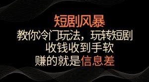 短剧风暴,教你冷门玩法,玩转短剧,收钱收到手软【揭秘】-私藏资源社