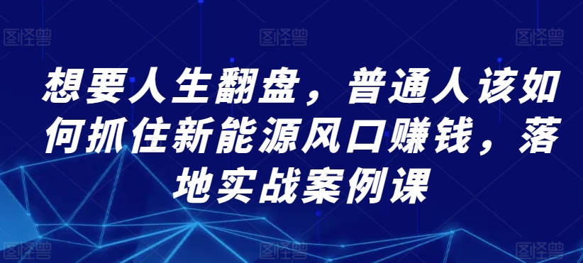 想要人生翻盘，普通人该如何抓住新能源风口赚钱，落地实战案例课-私藏资源社