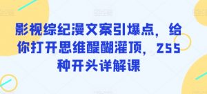 影视综纪漫文案引爆点,给你打开思维醍醐灌顶,255种开头详解课-私藏资源社