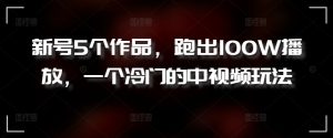 新号5个作品,跑出100W播放,一个冷门的中视频玩法【揭秘】-私藏资源社