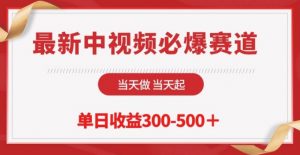最新中视频必爆赛道,当天做当天起,单日收益300-500+【揭秘】-私藏资源社