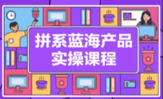 拼系冷门蓝海产品实操课程，从注册店铺到选品上架到流量维护环环相扣-私藏资源社