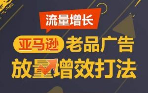 流量增长 亚马逊老品广告放量增效打法,短期内广告销量翻倍-私藏资源社