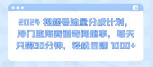 2024视频号流量分成计划,冷门监海赛道奇闻趣事,每天只需30分钟,轻松目赚 1000+【揭秘】-私藏资源社