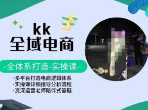 KK全域电商,全体系打造实操课,多平台打造电商逻辑体系-私藏资源社