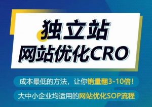 独立站网站优化CRO,成本最低的方法,让你销量翻3-10倍-私藏资源社