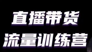 直播带货流量训练营,小白主播必学直播课-私藏资源社
