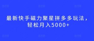 最新快手磁力聚星拼多多玩法,轻松月入5000+【揭秘】-私藏资源社