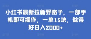 小红书最新拉新野路子,一部手机即可操作,一单15块,做得好日入2000+【揭秘】-私藏资源社